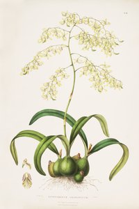 Illustration d